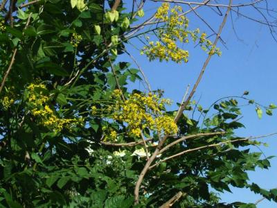 Прикрепленное изображение: k000.jpg